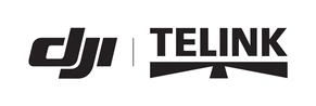 TELINK, spol. s r.o. Logo
